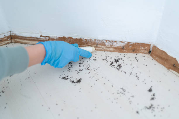 Professional Pest control in Franklin, WI